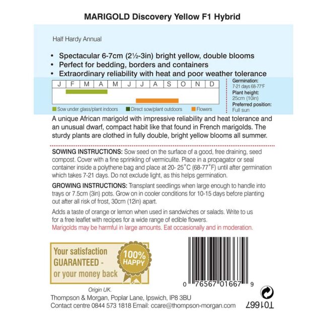 THOMPSON & MORGAN - MARIGOLD DISCOVERY YELLOW F1 HYBRID SEEDS - Image 2