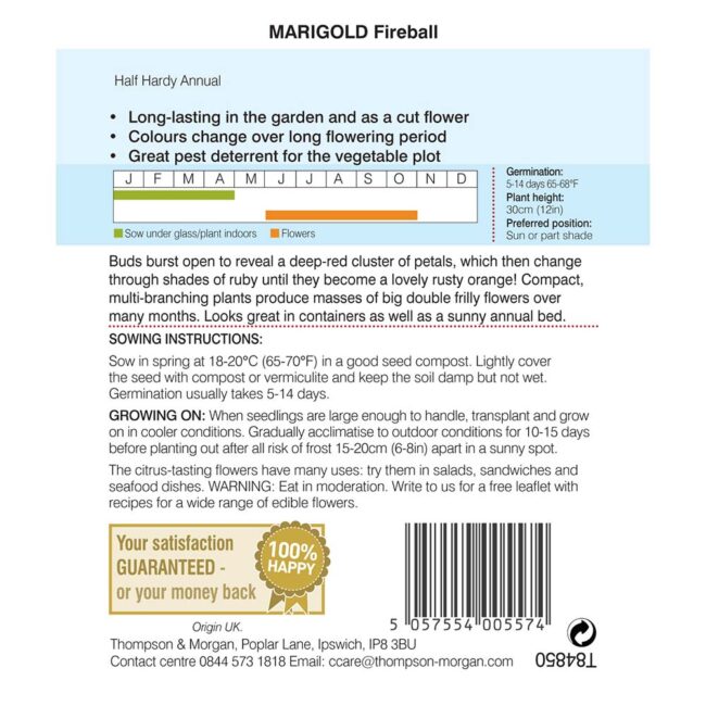 THOMPSON & MORGAN - MARIGOLD FIREBALL SEEDS - Image 2
