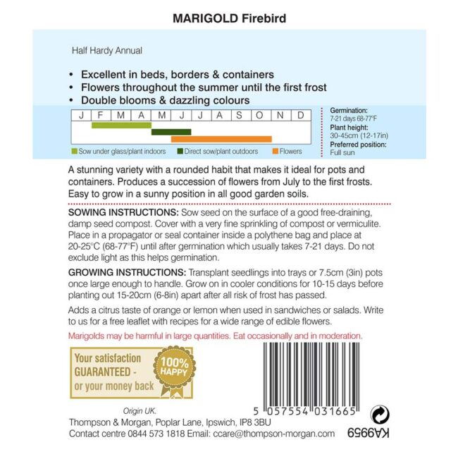 THOMPSON & MORGAN - MARIGOLD FIREBIRD SEEDS - Image 2