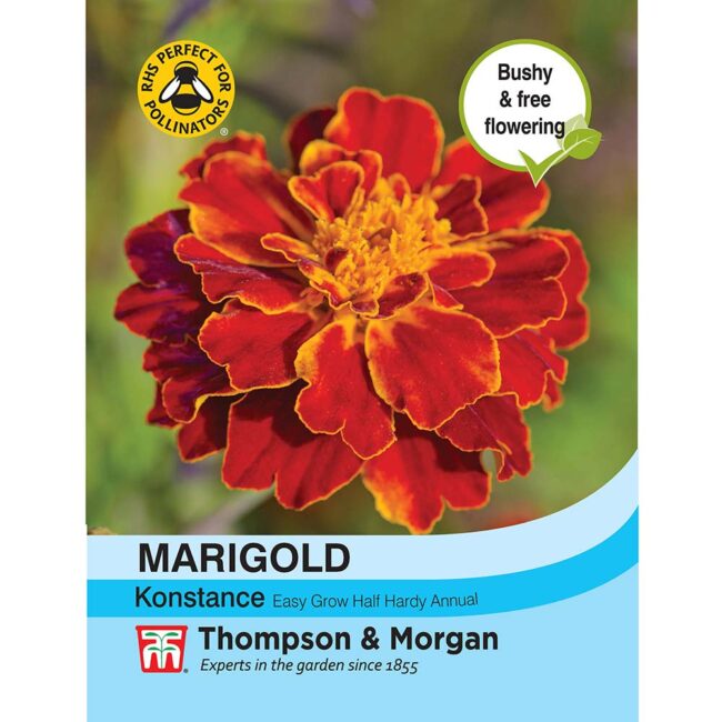 THOMPSON & MORGAN - MARIGOLD KONSTANCE (FRENCH) SEEDS
