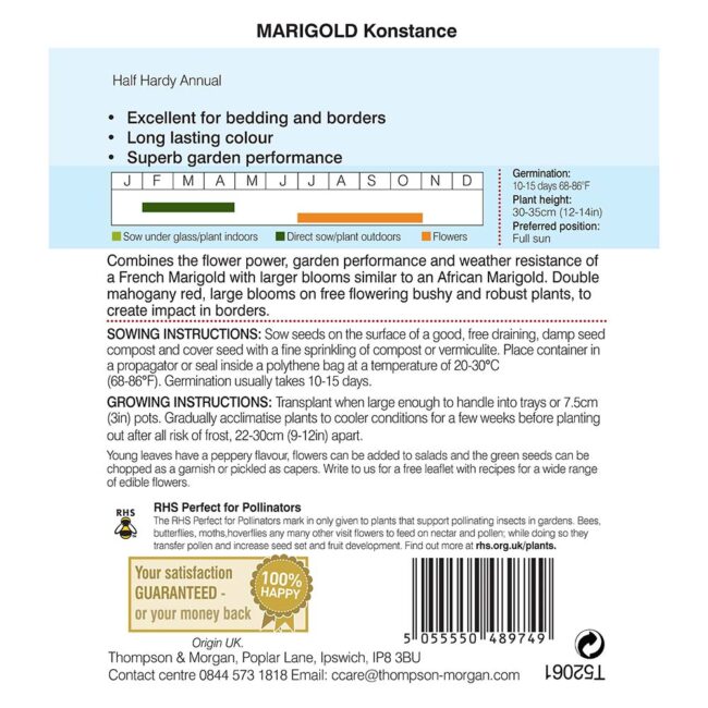 THOMPSON & MORGAN - MARIGOLD KONSTANCE (FRENCH) SEEDS - Image 2