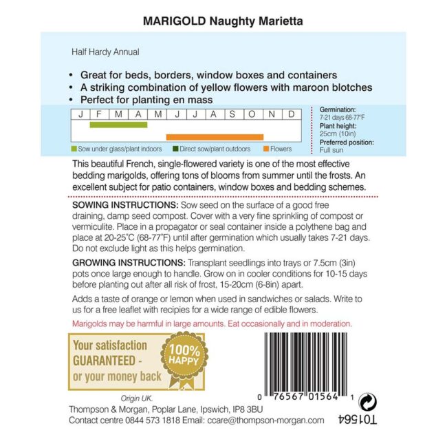 THOMPSON & MORGAN - MARIGOLD NAUGHTY MARIETTA (FRENCH) SEEDS - Image 2