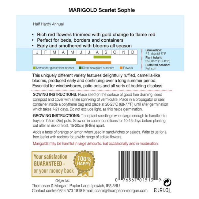 THOMPSON & MORGAN - MARIGOLD SCARLET SOPHIE (FRENCH) SEEDS - Image 2