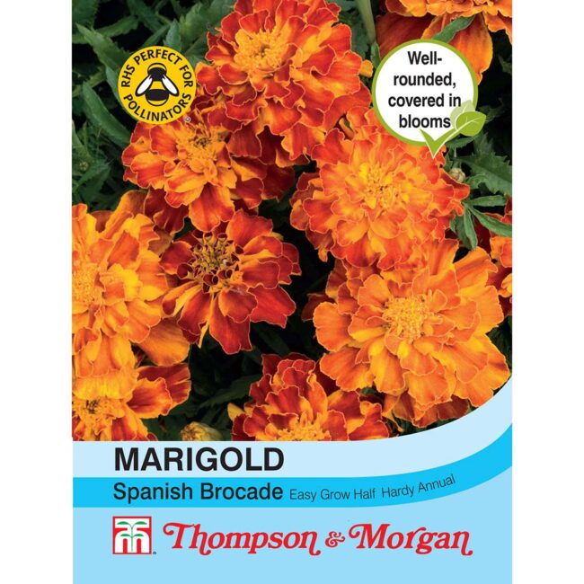 THOMPSON & MORGAN - MARIGOLD SPANISH BROCADE (FRENCH) SEEDS