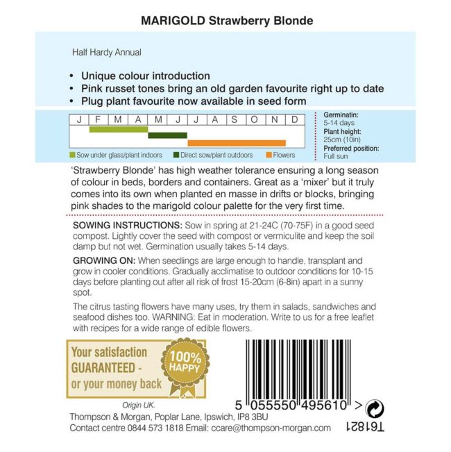 THOMPSON & MORGAN - MARIGOLD STRAWBERRY BLONDE (FRENCH) SEEDS - Image 2