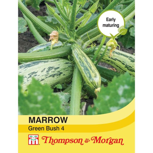 THOMPSON & MORGAN - MARROW GREEN BUSH 4 SEEDS