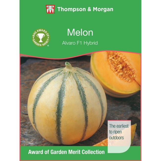 THOMPSON & MORGAN - MELON ALVARO F1 HYBRID
