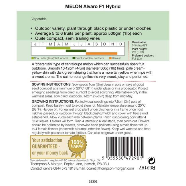 THOMPSON & MORGAN - MELON ALVARO F1 HYBRID - Image 2