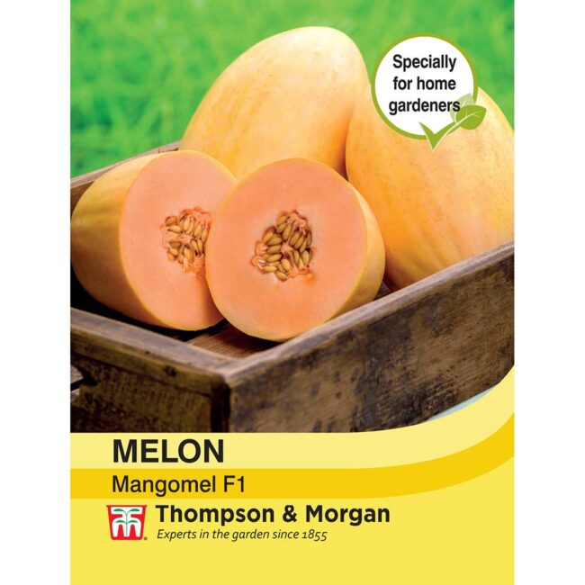 THOMPSON & MORGAN - MELON MANGOMEL F1