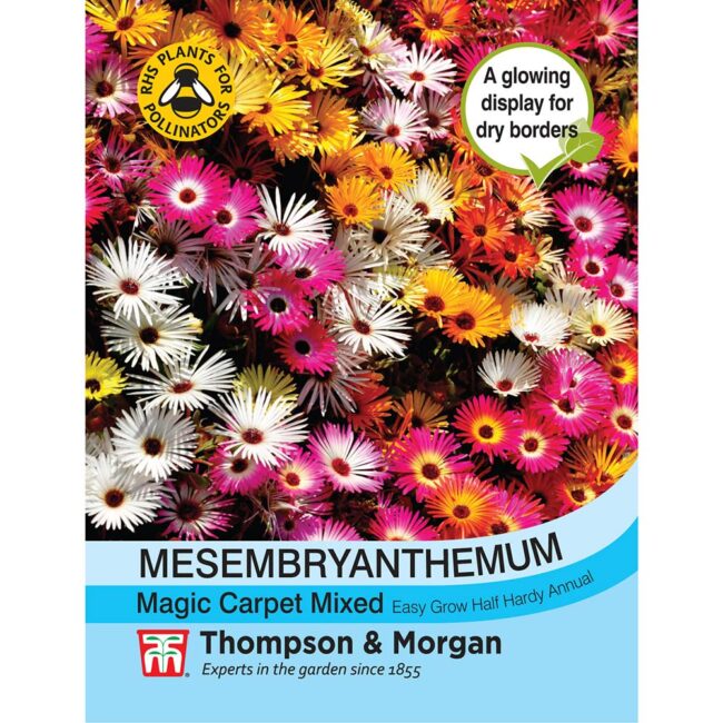 THOMPSON & MORGAN - MESEMBRYANTHEMUM MAGIC CARPET MIXED SEEDS