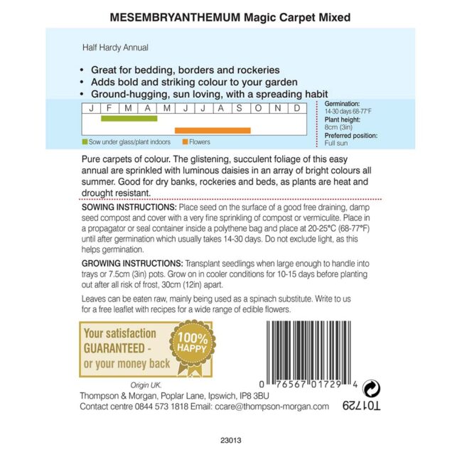 THOMPSON & MORGAN - MESEMBRYANTHEMUM MAGIC CARPET MIXED SEEDS - Image 2