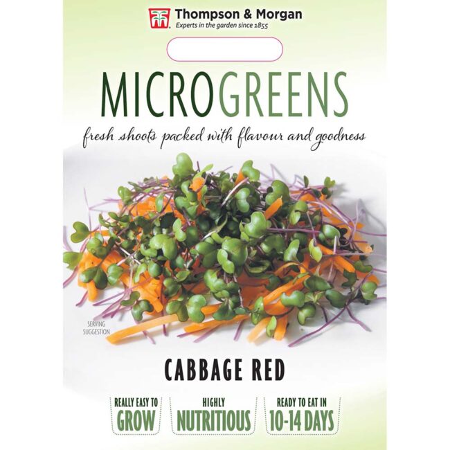 THOMPSON & MORGAN - MICROGREENS CABBAGE RED