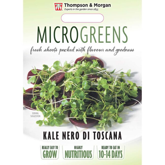 THOMPSON & MORGAN - MICROGREENS KALE NERO DI TOSCANA