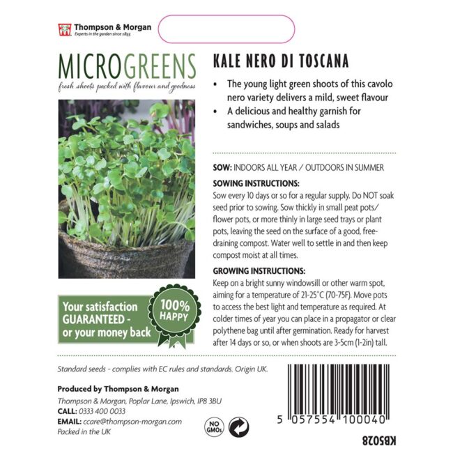 THOMPSON & MORGAN - MICROGREENS KALE NERO DI TOSCANA - Image 2