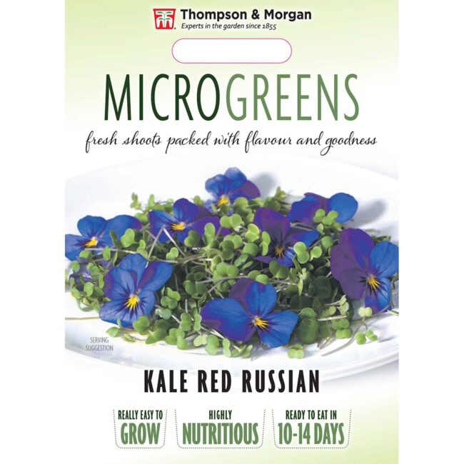 THOMPSON & MORGAN - MICROGREENS KALE RED RUSSIAN