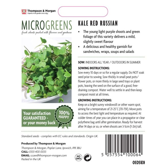 THOMPSON & MORGAN - MICROGREENS KALE RED RUSSIAN - Image 2