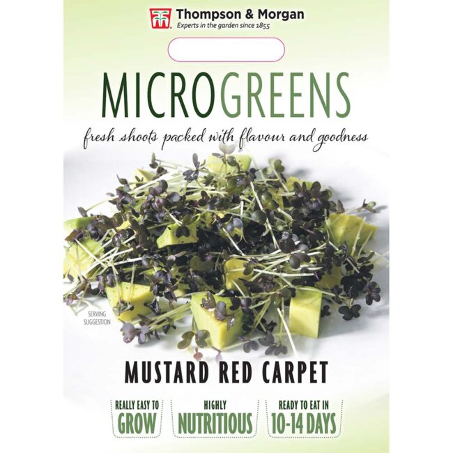 THOMPSON & MORGAN - MICROGREENS MUSTARD RED CARPET