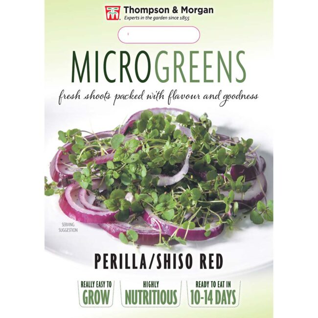 THOMPSON & MORGAN - MICROGREENS PERILLA SHISO RED