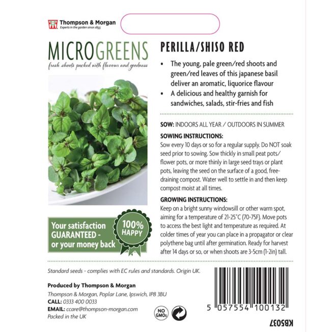 THOMPSON & MORGAN - MICROGREENS PERILLA SHISO RED - Image 2