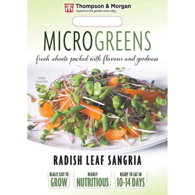 THOMPSON & MORGAN - MICROGREENS RADISH LEAF SANGRIA