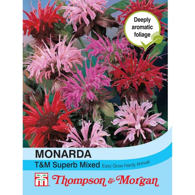 THOMPSON & MORGAN - MONARDA T&M SUPERB MIXED SEEDS