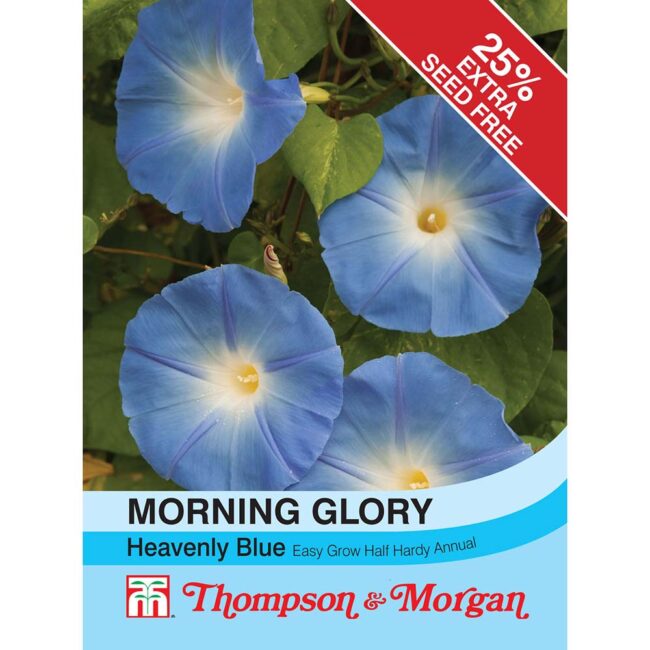 THOMPSON & MORGAN - MORNING GLORY HEAVENLY BLUE (IPOMOEA) SEEDS