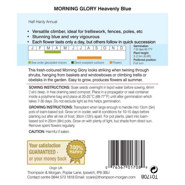 THOMPSON & MORGAN - MORNING GLORY HEAVENLY BLUE (IPOMOEA) SEEDS - Image 2