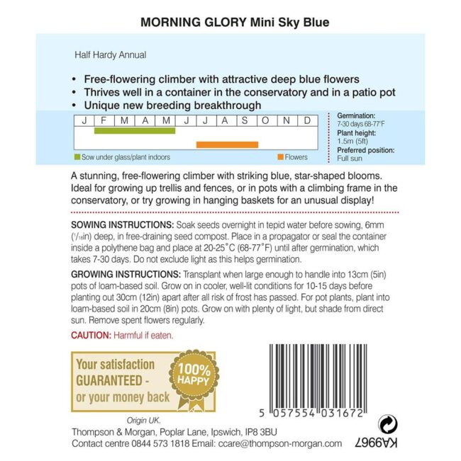 THOMPSON & MORGAN - MORNING GLORY MINI SKY BLUE SEEDS - Image 2