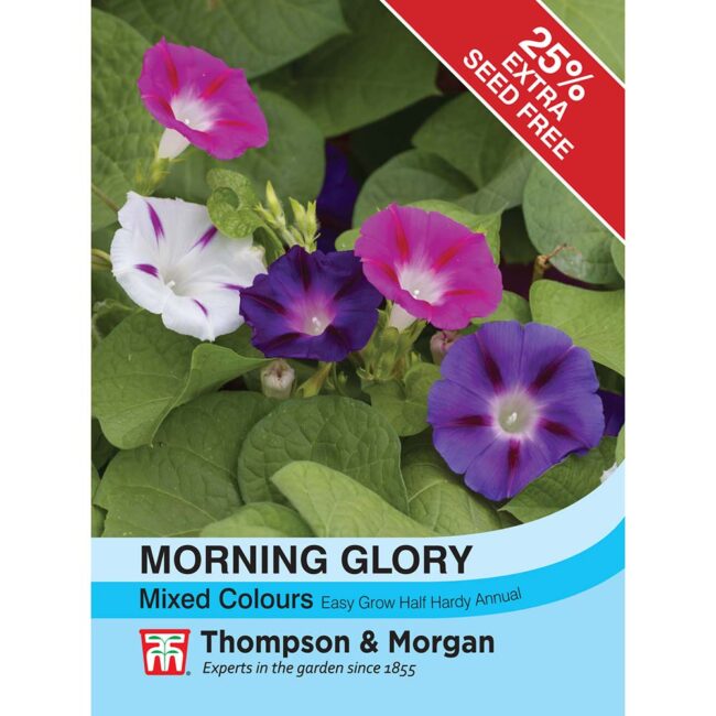 THOMPSON & MORGAN - MORNING GLORY MIXED COLOURS SEEDS