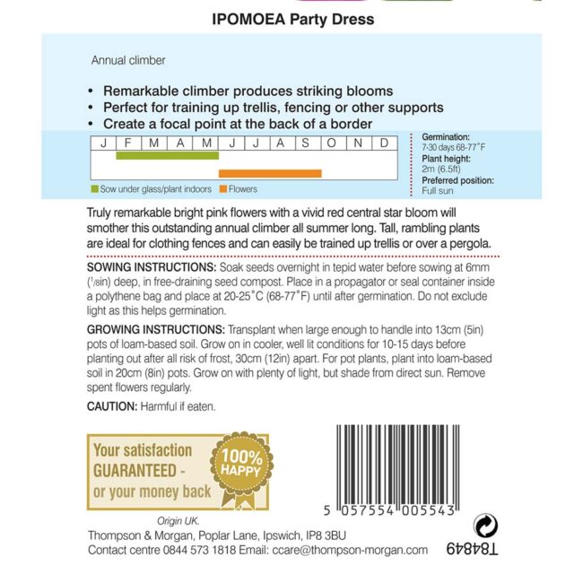 THOMPSON & MORGAN - MORNING GLORY PARTY DRESS - Image 2