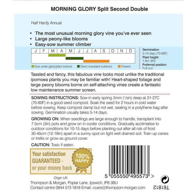 THOMPSON & MORGAN - MORNING GLORY SPLIT SECOND DOUBLE - Image 2