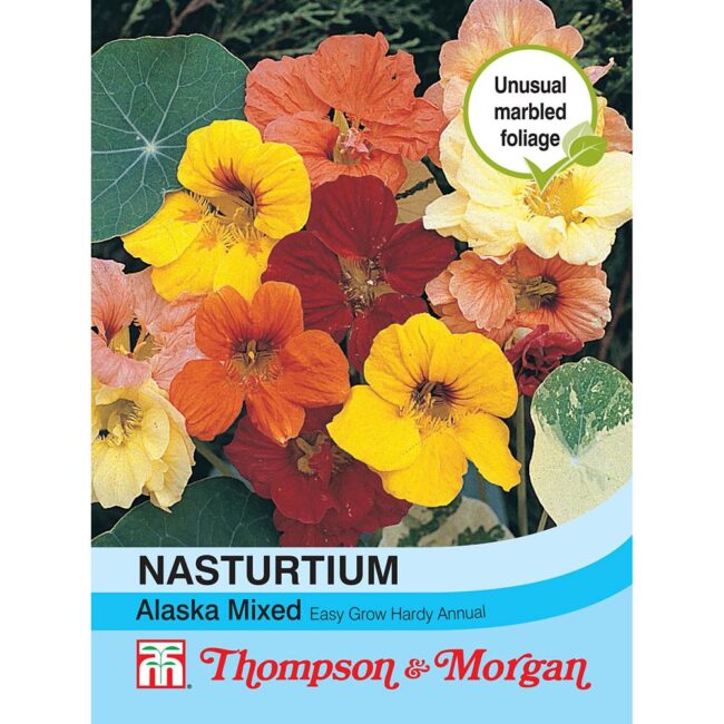THOMPSON & MORGAN - NASTURTIUM ALASKA MIXED SEEDS