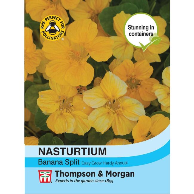 THOMPSON & MORGAN - NASTURTIUM BANANA SPLIT SEEDS