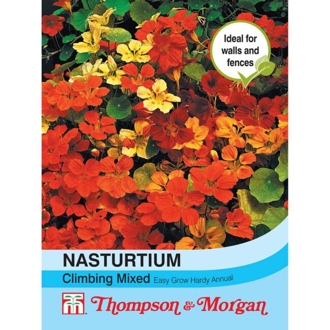 THOMPSON & MORGAN - NASTURTIUM CLIMBING MIXED SEEDS