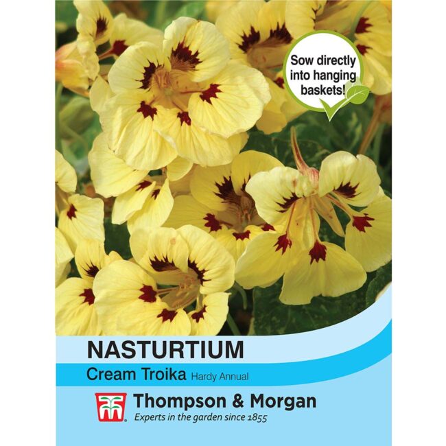 THOMPSON & MORGAN - NASTURTIUM CREAM TROIKA SEEDS