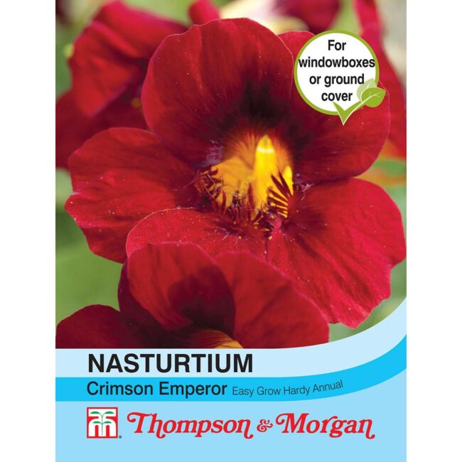 THOMPSON & MORGAN - NASTURTIUM CRIMSON EMPEROR SEEDS