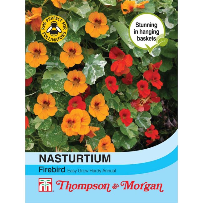 THOMPSON & MORGAN - NASTURTIUM FIREBIRD SEEDS