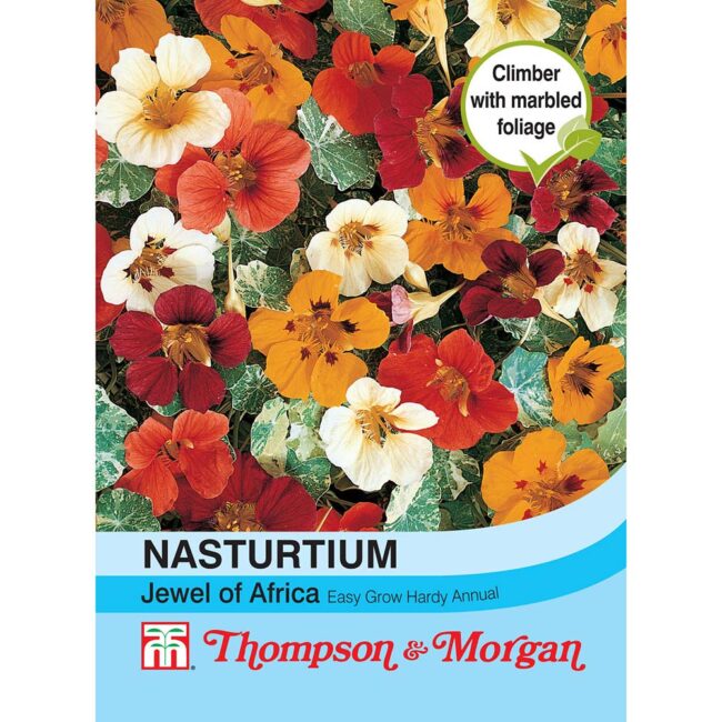 THOMPSON & MORGAN - NASTURTIUM JEWEL OF AFRICA SEEDS