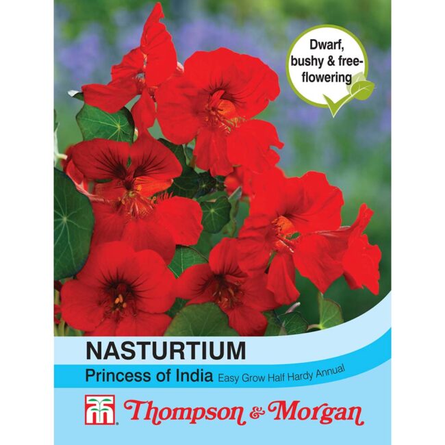 THOMPSON & MORGAN - NASTURTIUM PRINCESS OF INDIA SEEDS
