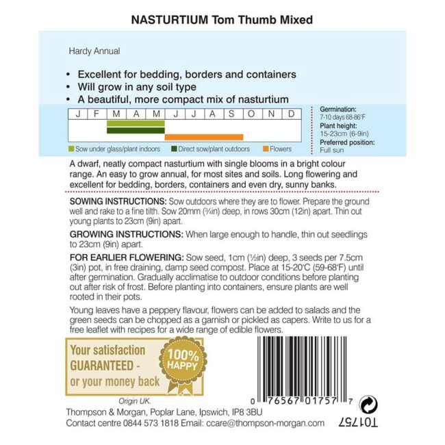 THOMPSON & MORGAN - NASTURTIUM TOM THUMB MIXED SEEDS - Image 2