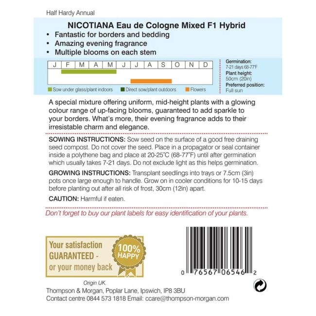 THOMPSON & MORGAN - NICOTIANA EAU DE COLOGNE SEEDS - Image 2
