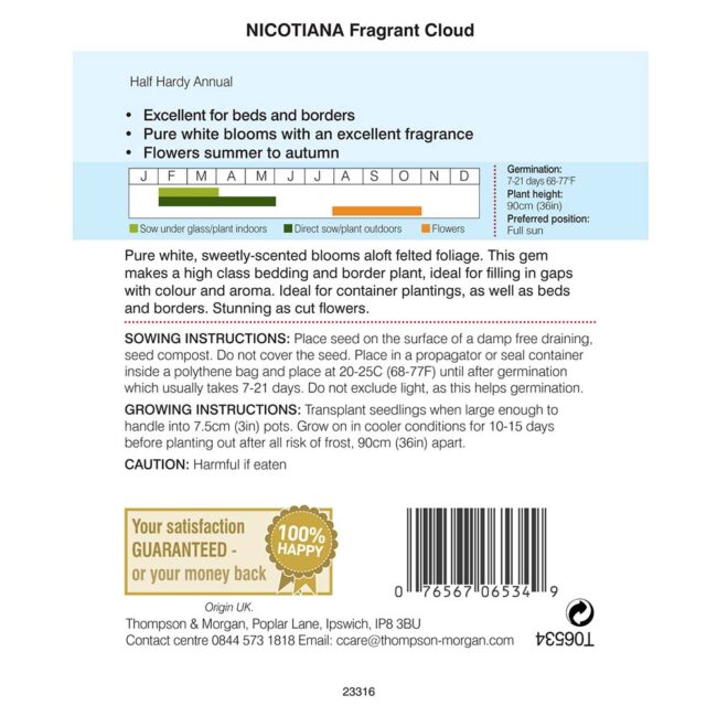THOMPSON & MORGAN - NICOTIANA FRAGRANT CLOUD SEEDS - Image 2