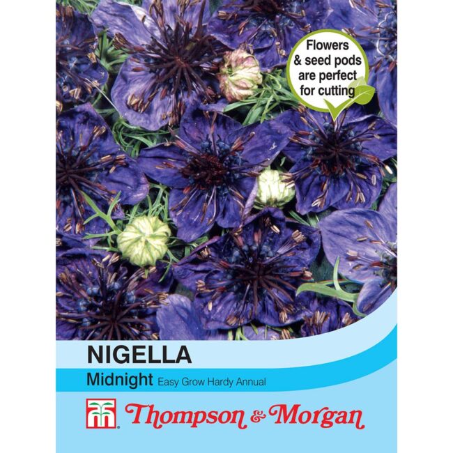 THOMPSON & MORGAN - NIGELLA MIDNIGHT SEEDS