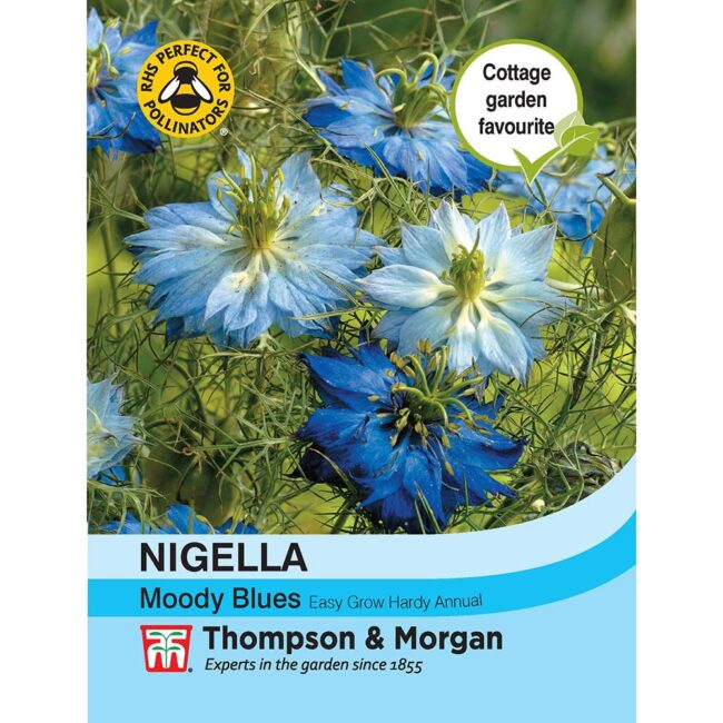 THOMPSON & MORGAN - NIGELLA MOODY BLUES SEEDS