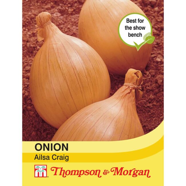 THOMPSON & MORGAN - ONION AILSA CRAIG SEEDS