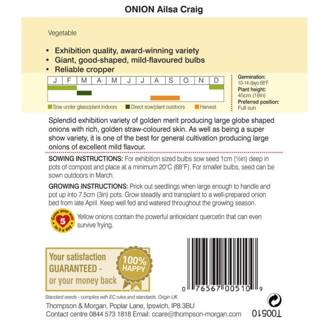 THOMPSON & MORGAN - ONION AILSA CRAIG SEEDS - Image 2