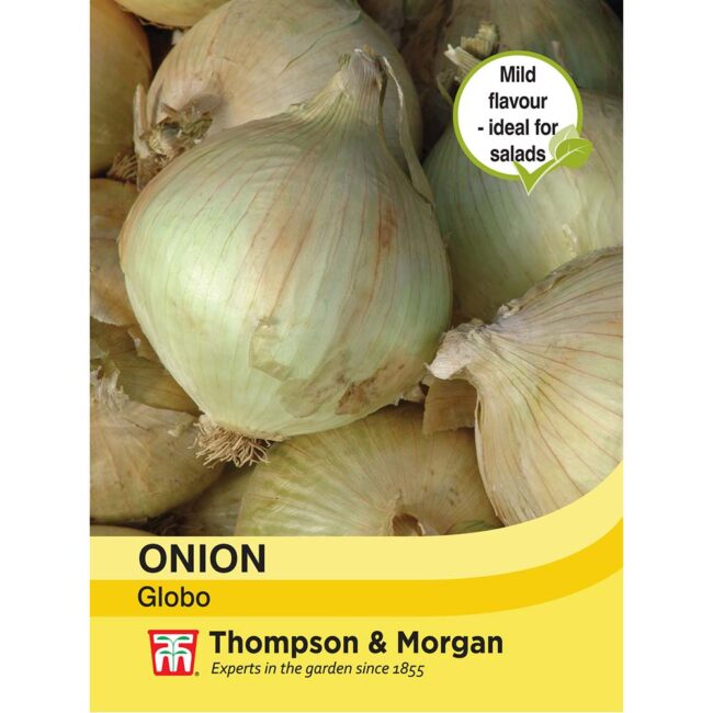 THOMPSON & MORGAN - ONION GLOBO