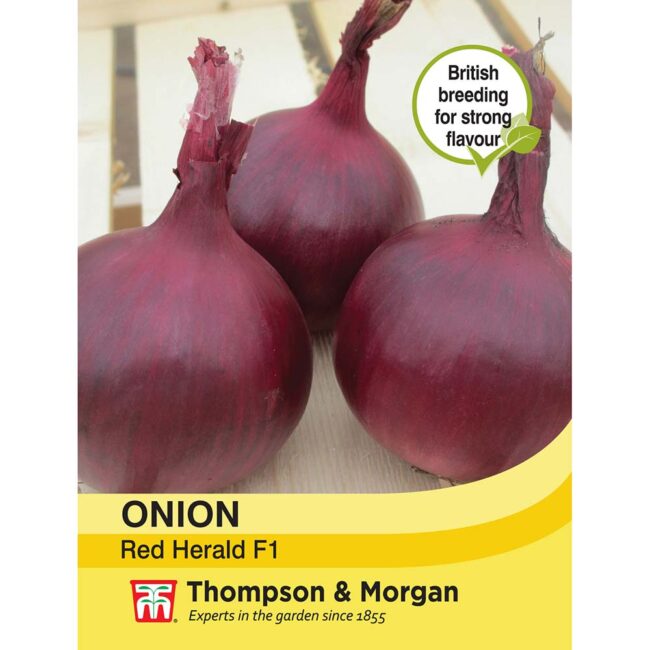 THOMPSON & MORGAN - ONION RED HERALD SEEDS