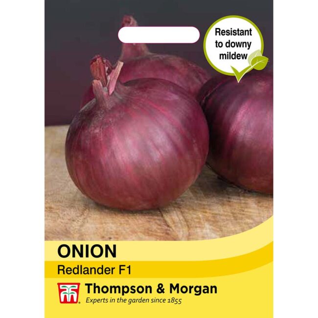 THOMPSON & MORGAN - ONION REDLANDER F1 SEEDS