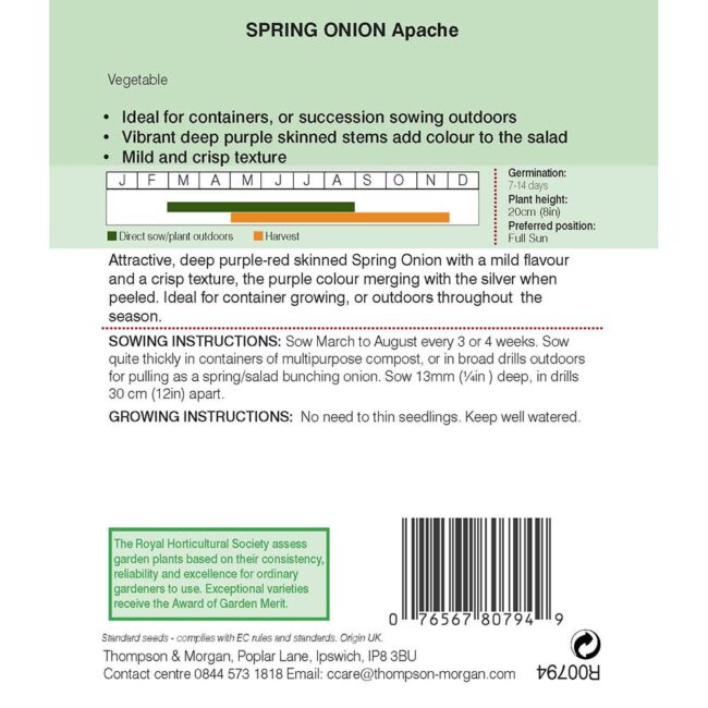 THOMPSON & MORGAN - ONION SALAD APACHE DEEP PURPLE - Image 2